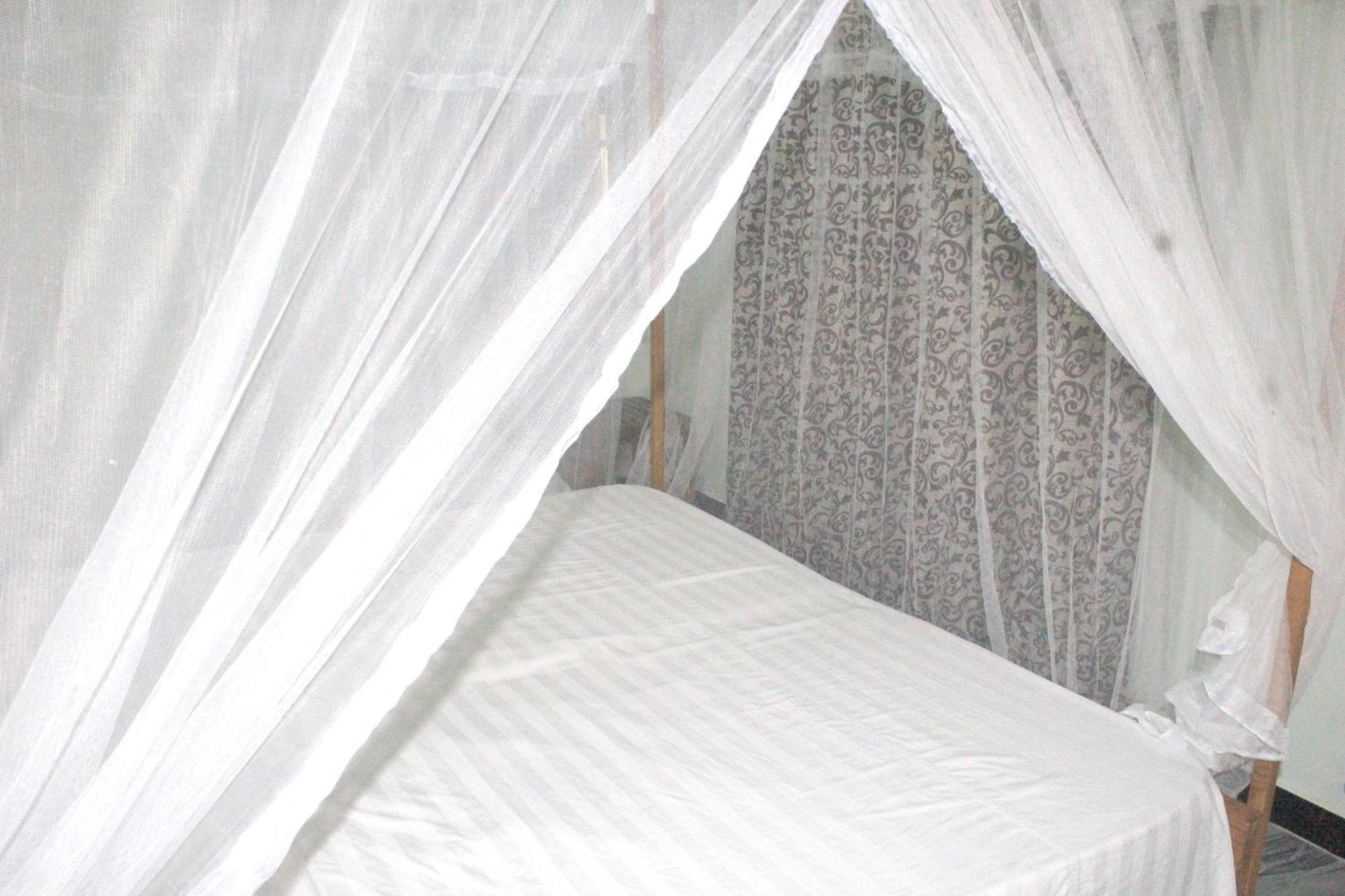 Sigiriya Nature View Home Stay Dış mekan fotoğraf